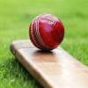 Cricket World Cup 2015 1.0