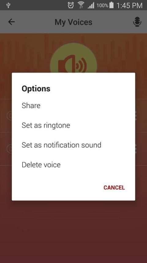 Funny Voice Changer screenshot 3