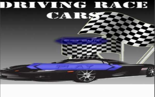 Race Car Driving स्क्रीनशॉट 8