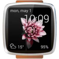 Animated watch faces