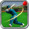 Cricket Cup 2015 icon