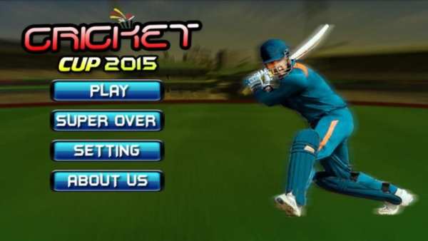 Cricket Cup 2015 screenshot 4