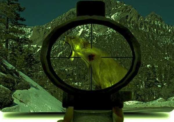 Lion Hunting Sniper 3D Game screenshot 1
