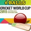 Cricket World Cup 6 Balls