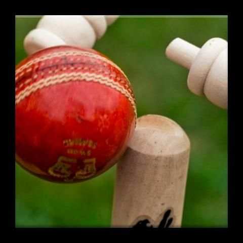 Alerts- Cricket World Cup 2015 screenshot 5