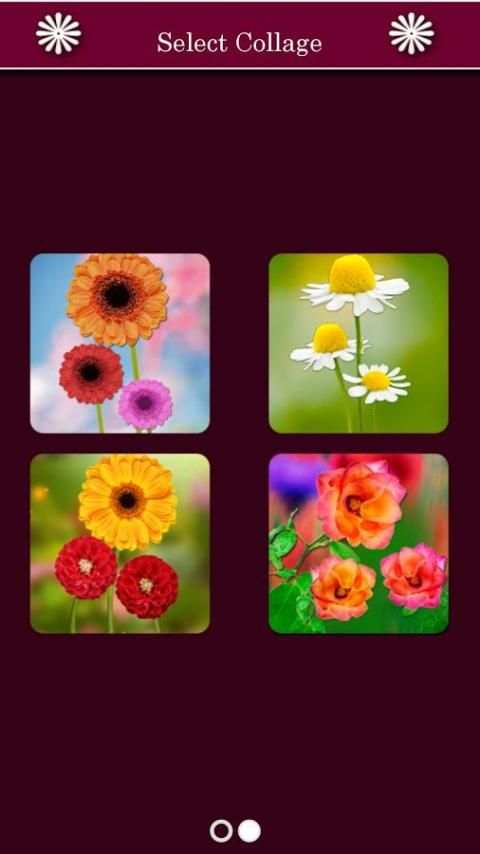 Flower Collages 1 تصوير الشاشة