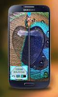 Heart Peacock Zip Screen Lock screenshot 3