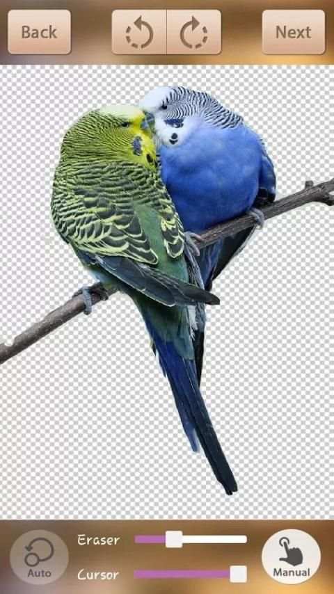 Auto Photo Background Changer 1 تصوير الشاشة