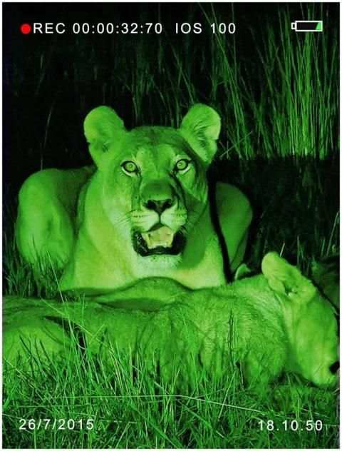 Night Vision Camera Prank 2 screenshot 5