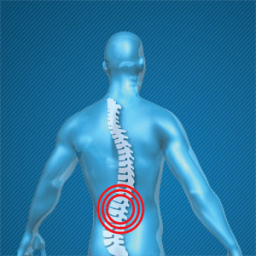 Back Pain Relieving Exercises أيقونة