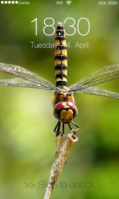 Lock Screen for Iphone 6 12 تصوير الشاشة