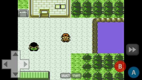 Pokemon Gold screenshot 3