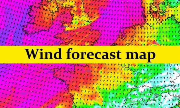Weather Forecast Windguru Tip скриншот 1