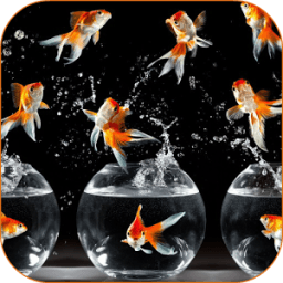 Goldfish HD Live Wallpaper icon