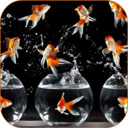 Goldfish HD Live Wallpaper 1.0