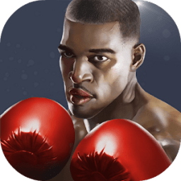 Punch in Punch out иконка