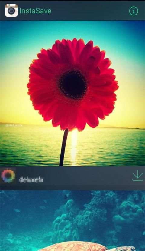InstaSave - Instagram Download screenshot 3