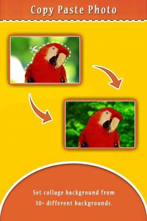 Copy Paste Photo screenshot 5