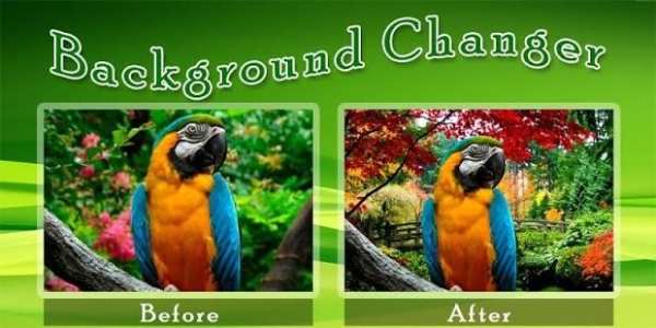 Background Changer скриншот 1