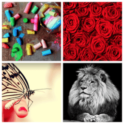 HD Обои أيقونة