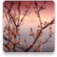 HD Windows 7 Wallpapers Vol.3 on 9Apps