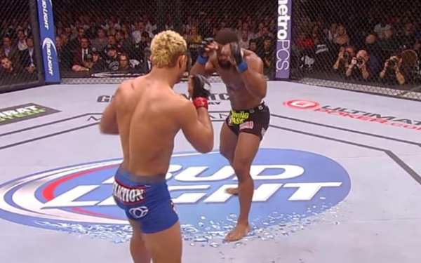 Action: WWE VS UFC Warriors 2 تصوير الشاشة
