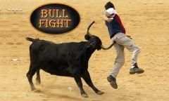 Bull Fight скриншот 2