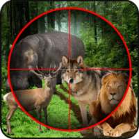 Wild Animal Hunting 3D