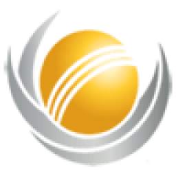 Google Live Cricket 1.0