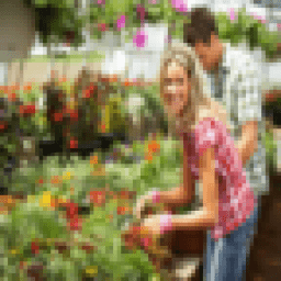 Gardening Videos أيقونة