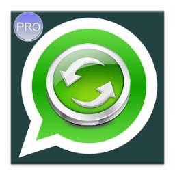 Beta Whatsapp Updates PRO