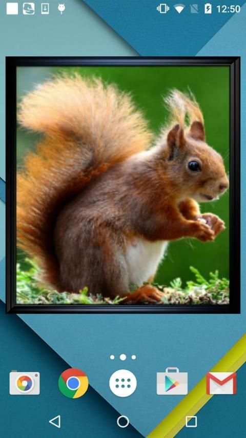 Bingkai Foto Widget screenshot 3