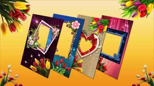 Tulip Flower Photo Frames 7 تصوير الشاشة