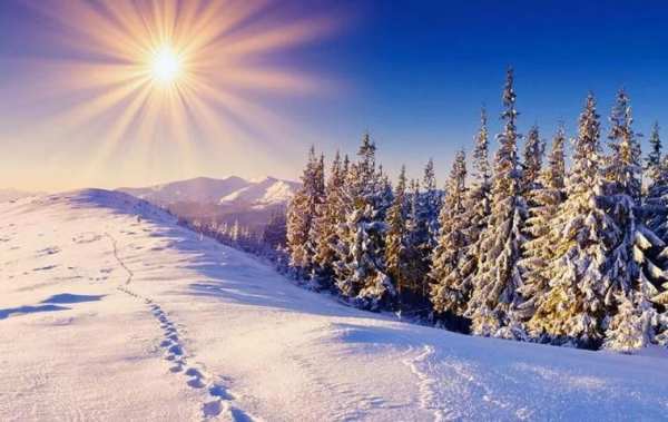 Winter Live Wallpaper screenshot 2