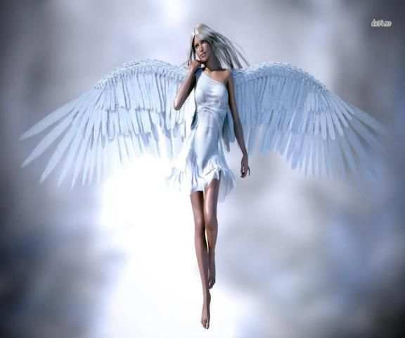 Angel Wallpapers 3 تصوير الشاشة