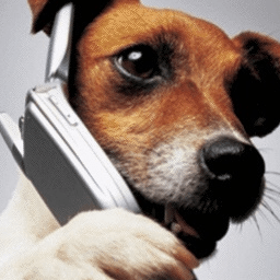 #Dog On Phone Live Wallpaper иконка