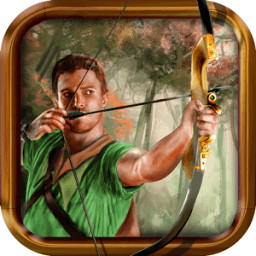 hunting birds arrow bow shoot أيقونة