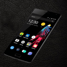 Phoenix Theme иконка