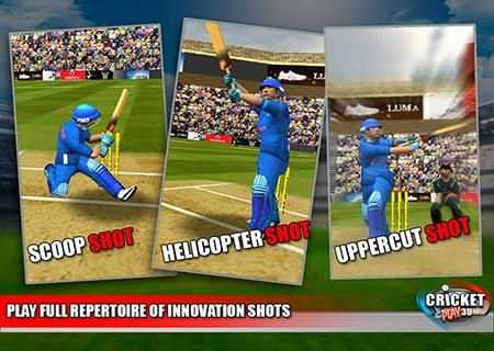 Cricket play 3D screenshot 4