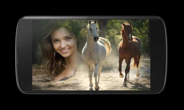 Horse Photo Frames screenshot 4