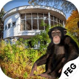 Escape Games- Abandoned Monkey icon