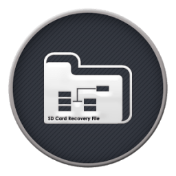 SD Card Recovery File icon