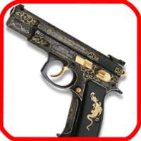 Gun Shooting Simulator