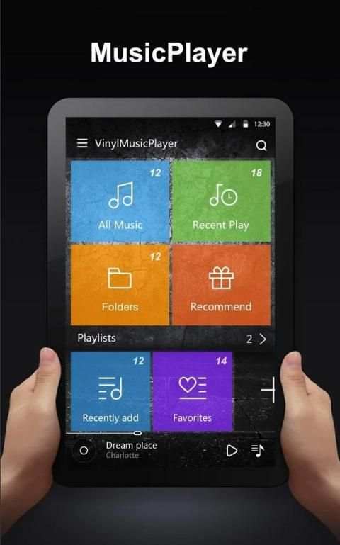 ViNyL Music Player screenshot 5