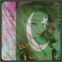 Pak Flag DP on 9Apps