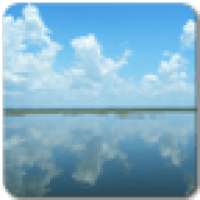 Florida Everglade Wallpapers on 9Apps