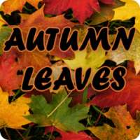 Autumn Leaves