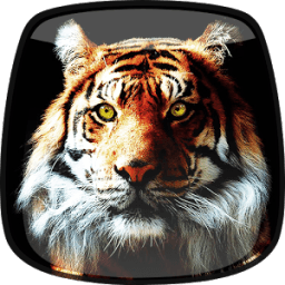 टाइगर लाइव वॉलपेपर आइकन