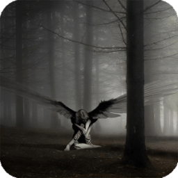 ikon Fallen Angel Live Wallpaper