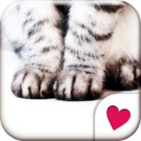 Cute wallpaper★Cat Hands on 9Apps